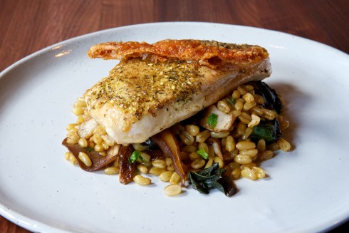 Zatar Seasoned Turkey at DC Harvest