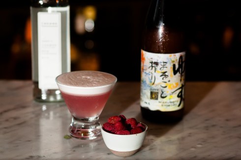 Clover Kyu at DC Harvest