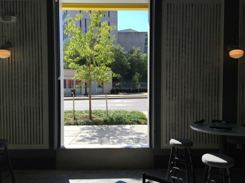 Roll-up Garage Door Window